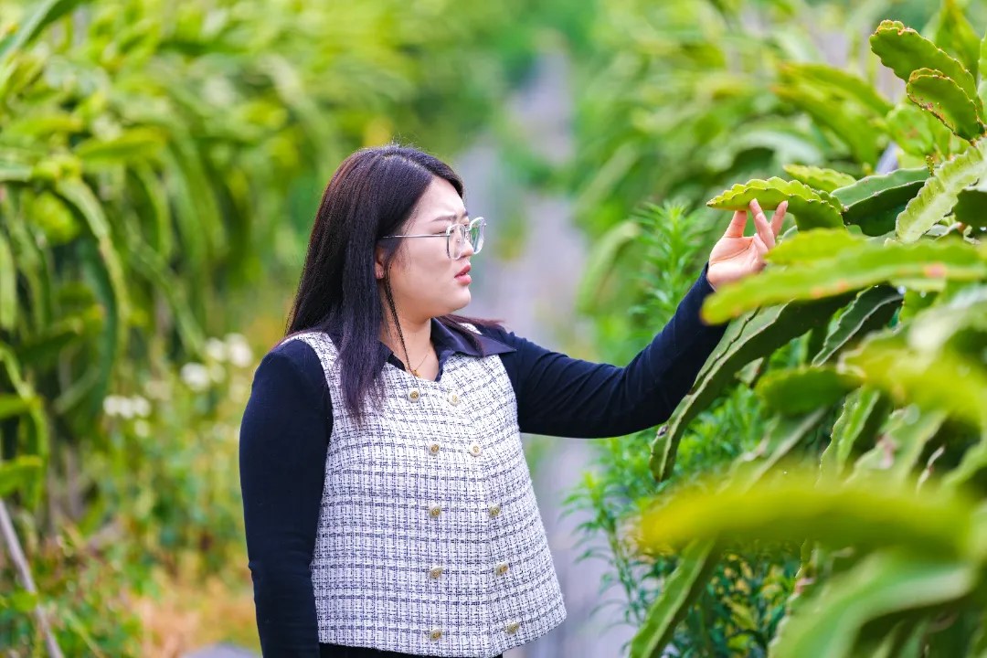 云南工商学院2021届毕业生张兮曼获评全国高校毕业生基层就业卓越奖