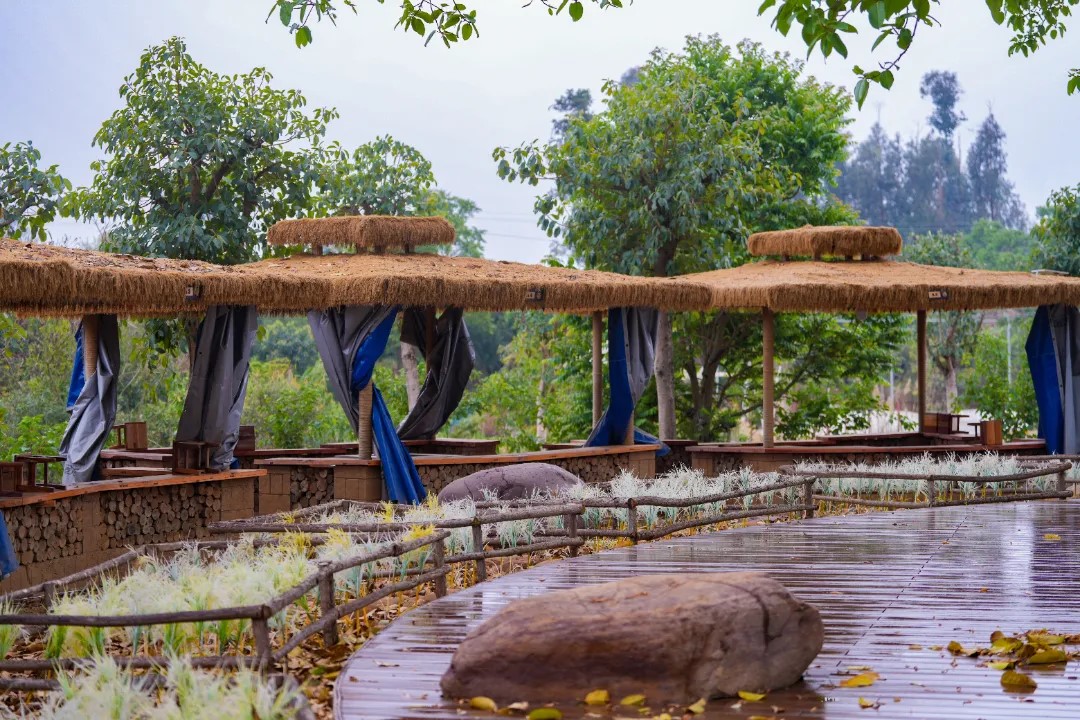 云南工商学院2021届毕业生张兮曼获评全国高校毕业生基层就业卓越奖