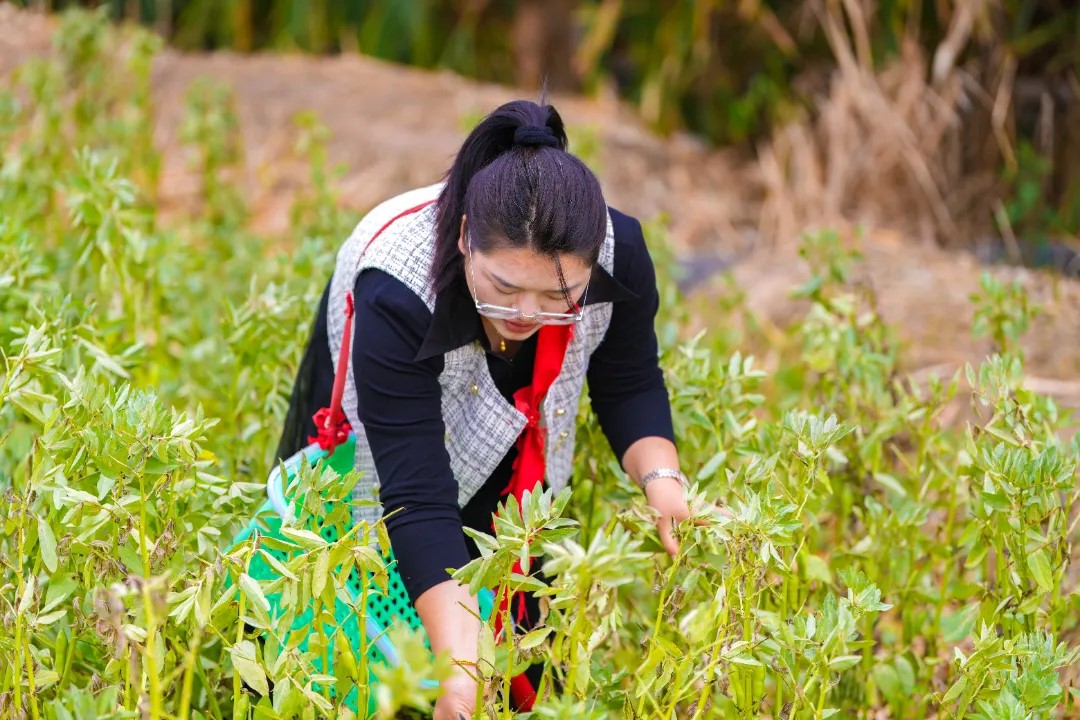 云南工商学院2021届毕业生张兮曼获评全国高校毕业生基层就业卓越奖
